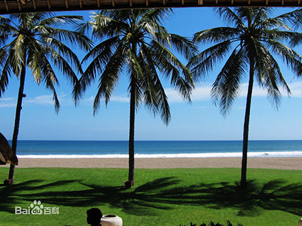 1498900301123875.jpg 1.jpg