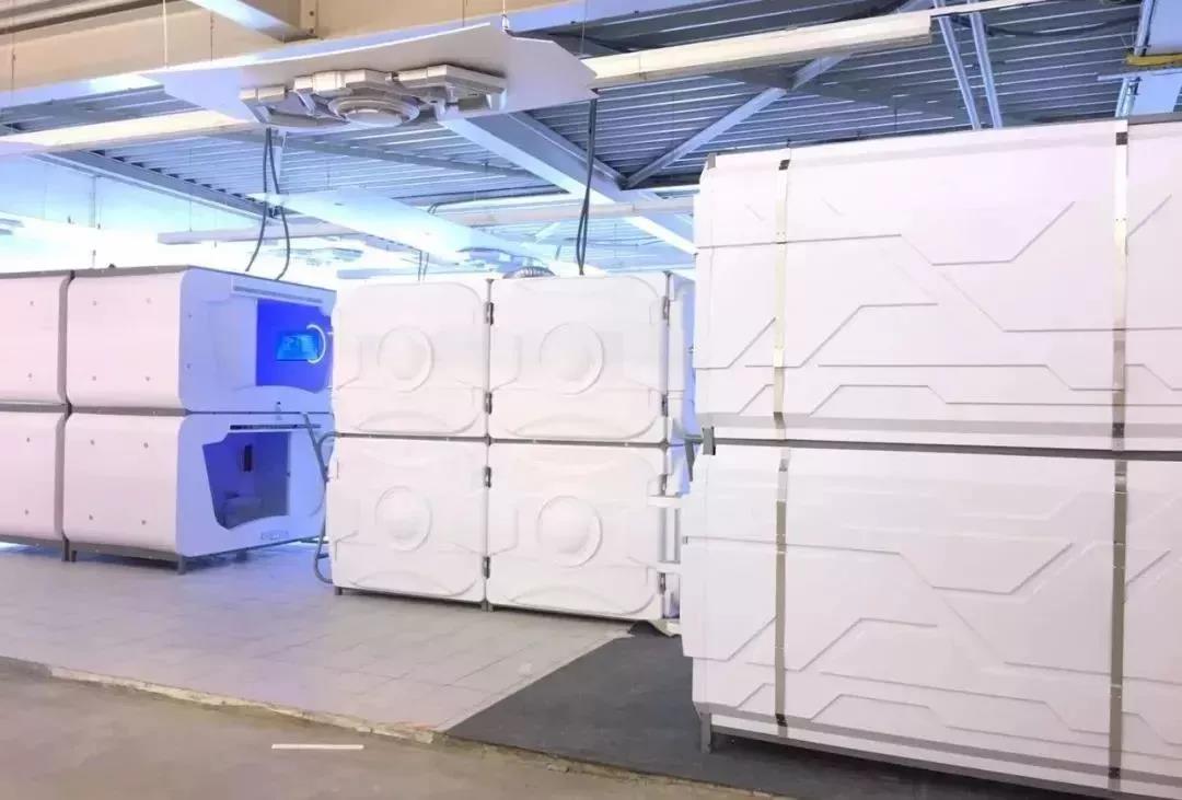 1529894953474210.jpg 8.jpg