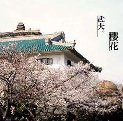 1655037939230607.jpg 44.jpg